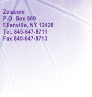 Address Info
